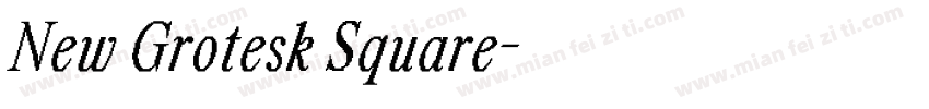New Grotesk Square字体转换